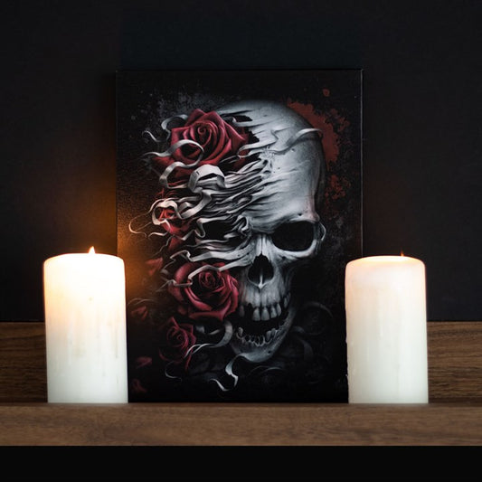 Skulls n Roses Canvas Plaque by Spiral Direct